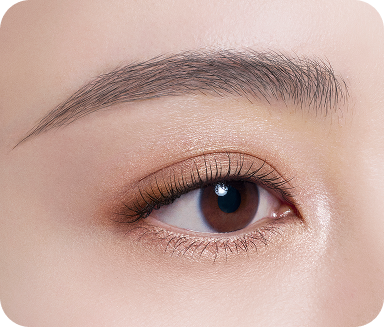 スキンシャドウ デザイニング パレット 01 Rosy Brown | DECORTÉ